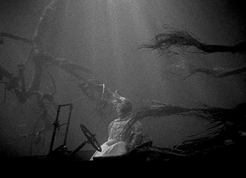 A cover of "Remembering" cluster. The owner is eeyorebaddie. The cluster consists of 30 elements.