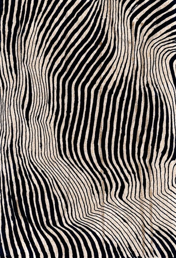 A cover of "cool designs" cluster. The owner is uhhlisa. The cluster consists of 89 elements.