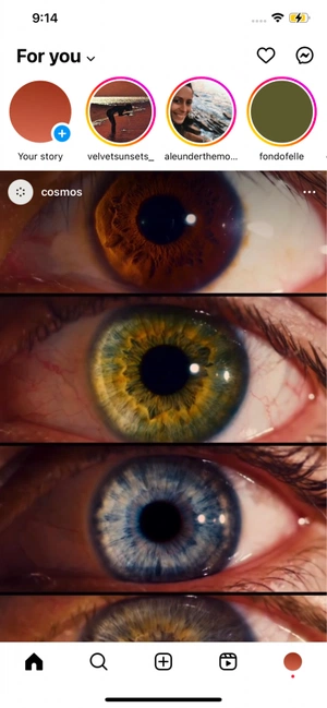 Irene Segarra avatar