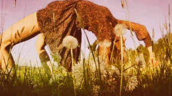 A cover of "The Plains SPE" cluster. The owner is teddykloun. The cluster consists of 6 elements.