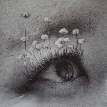 A cover of "eyes" cluster. The owner is leonit. The cluster consists of 65 elements.