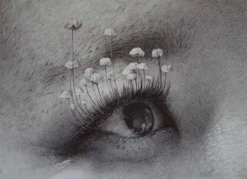 A cover of "eyes" cluster. The owner is nymphaera. The cluster consists of 4 elements.