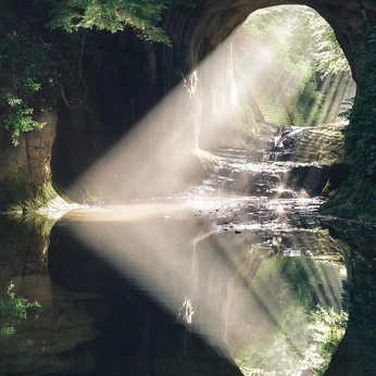 A cover of "Guiding Light" cluster. The owner is em0237. The cluster consists of 5 elements.