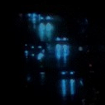 A cover of "archive" cluster. The owner is rweck. The cluster description is "what i see". The cluster consists of 13 elements.