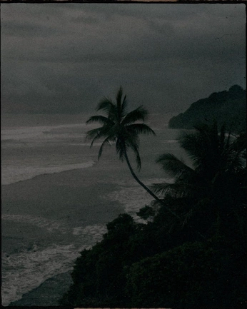 A cover of "CARIBE" cluster. The owner is roxi1999. The cluster consists of 7 elements.