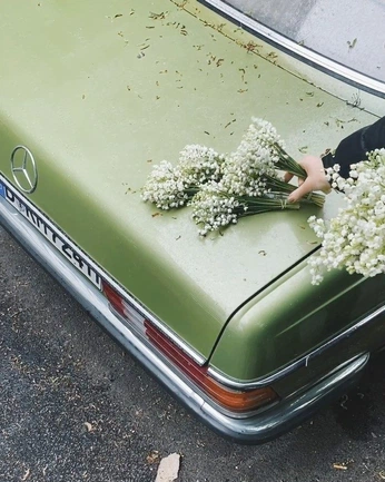 A cover of "25’" cluster. The owner is manu.alves. The cluster consists of 2 elements.