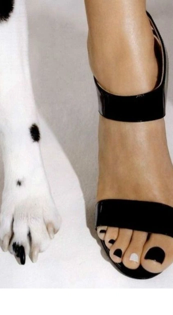 A cover of "familiars" cluster. The owner is mandyjam. The cluster consists of 5 elements.