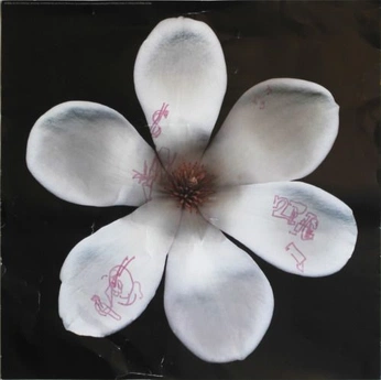 A cover of "Inspiration" cluster. The owner is lasoan. The cluster consists of 43 elements.