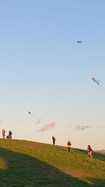 A cover of "childhood" cluster. The owner is carleecliff. The cluster consists of 10 elements.