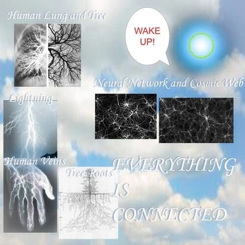 A cover of "Dreaming core" cluster. The owner is lunaikigai9. The cluster consists of 72 elements.