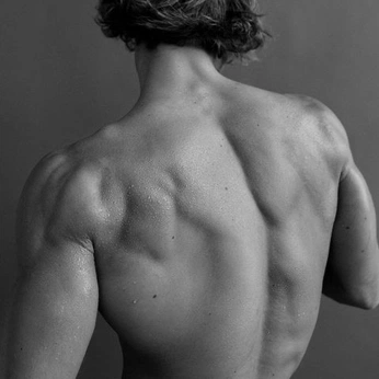 A cover of "fizeek" cluster. The owner is waderein. The cluster consists of 10 elements.