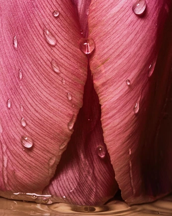 A cover of "being" cluster. The owner is aadaa. The cluster consists of 26 elements.