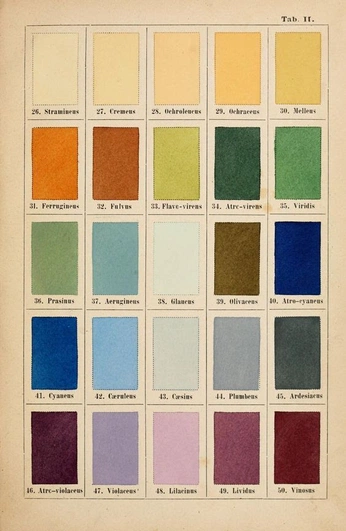 A cover of "color" cluster. The owner is allicwrites. The cluster consists of 1 element.