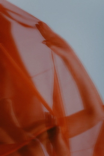 A cover of "Yellow Shoot" cluster. The owner is gracehartnett. The cluster consists of 23 elements.