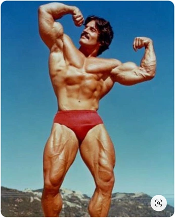 A cover of "Bodybuilding" cluster. The owner is hardbody. The cluster consists of 39 elements.