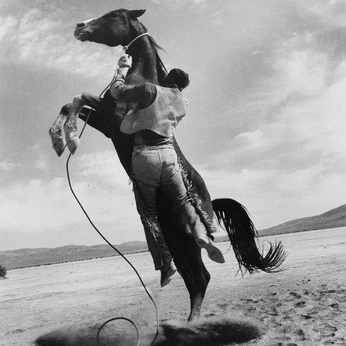 A cover of "URBAN COWBOY" cluster. The owner is zuhair. The cluster consists of 46 elements.