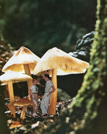 A cover of "Merch Nam" cluster. The owner is fperloiro. The cluster consists of 4 elements.