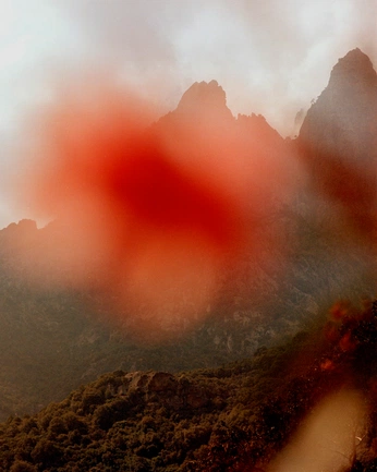 A cover of "Photography" cluster. The owner is jeportiejim. The cluster consists of 79 elements.