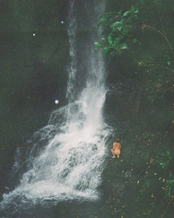 A cover of "negative ions" cluster. The owner is marielombardo. The cluster consists of 61 elements.