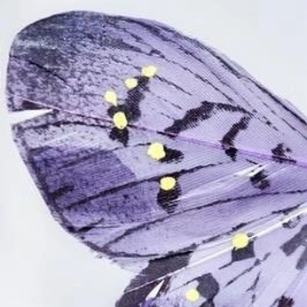 A cover of "Butterflies" cluster. The owner is cheekybear. The cluster consists of 9 elements.