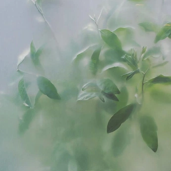 A cover of "Flow" cluster. The owner is arthandler. The cluster consists of 9 elements.