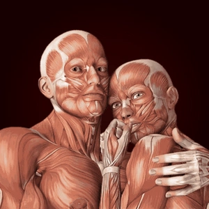 Modest & Bart avatar