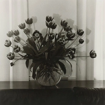 A cover of "flores" cluster. The owner is valzusa. The cluster consists of 12 elements.