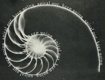 A cover of "spiritu" cluster. The owner is brujita. The cluster consists of 19 elements.