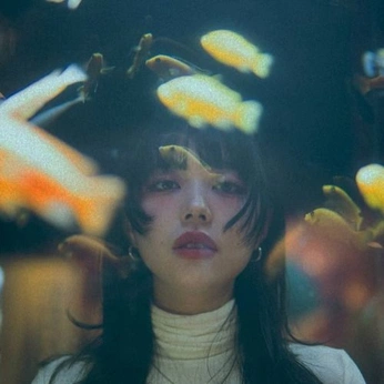 A cover of "Photo Ref" cluster. The owner is tamafry. The cluster consists of 68 elements.