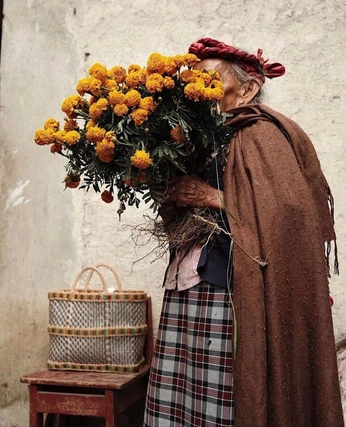 A cover of "Botanist" cluster. The owner is naturesnursee. The cluster consists of 53 elements.