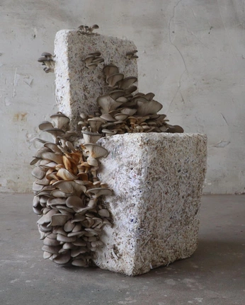 A cover of "creative-block" cluster. The owner is vedamnt. The cluster consists of 4 elements.