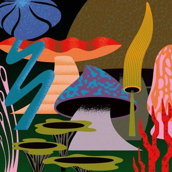 A cover of "012://Zine_2" cluster. The owner is ricko. The cluster consists of 20 elements.