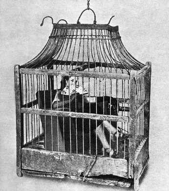 A cover of "nora - dolls house" cluster. The owner is arkcrab. The cluster consists of 1 element.