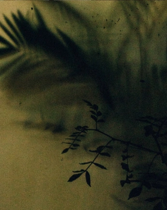 A cover of "outdoor inspiration" cluster. The owner is photonika. The cluster consists of 10 elements.