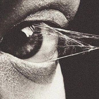 A cover of "inspo" cluster. The owner is digitaldose.jpg. The cluster description is "the mishmash". The cluster consists of 581 elements.