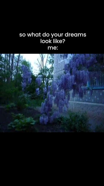 A cover of "Dream" cluster. The owner is why. The cluster consists of 4 elements.