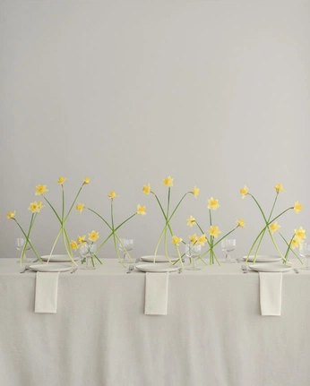 A cover of "inspo cumple" cluster. The owner is lsaavedra. The cluster consists of 34 elements.