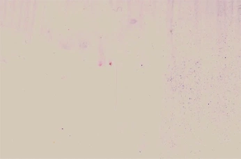 A cover of "vis" cluster. The owner is cadetcapa. The cluster consists of 48 elements.