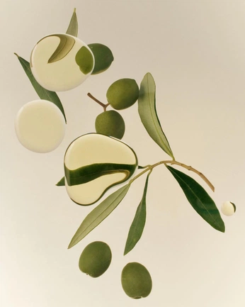 A cover of "evoa" cluster. The owner is daniboanova. The cluster consists of 15 elements.