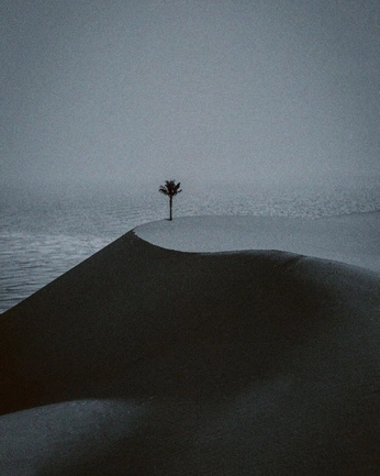 A cover of "Concept Photography" cluster. The owner is brandybuck. The cluster consists of 2 elements.