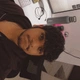 deeepwth