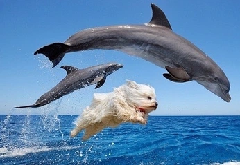 A cover of "Realness" cluster. The owner is naomiastrid. The cluster consists of 4 elements.