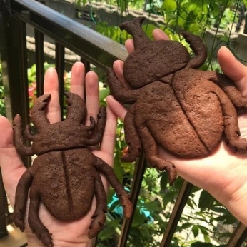 A cover of "food" cluster. The owner is webalien1. The cluster consists of 39 elements.