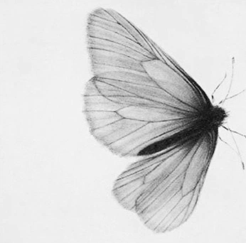 A cover of "animals💔" cluster. The owner is marinelly. The cluster consists of 19 elements.