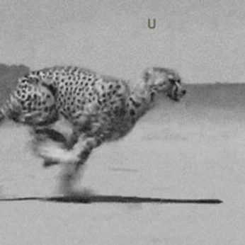 A cover of "Movement" cluster. The owner is mikehil. The cluster consists of 9 elements.