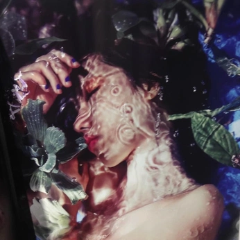 A cover of "vibe" cluster. The owner is hannugget. The cluster consists of 87 elements.