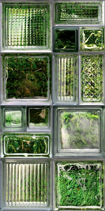 A cover of "Details" cluster. The owner is aotroplano. The cluster consists of 7 elements.