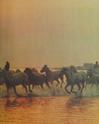 A cover of "free" cluster. The owner is rim27. The cluster consists of 1 element.