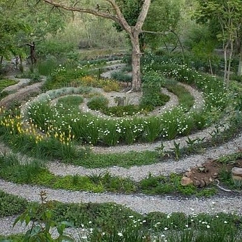 A cover of "Verde" cluster. The owner is tayalexis. The cluster consists of 785 elements.