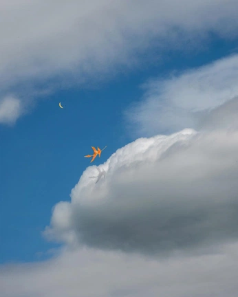 A cover of "Kite Runner" cluster. The owner is aplanetnine. The cluster consists of 8 elements.